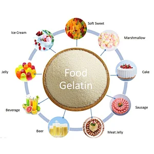 Gelatin Suppliers. Food Additive Gelatin Halal Edible Bovine Gelatin Powder 260 Bloom